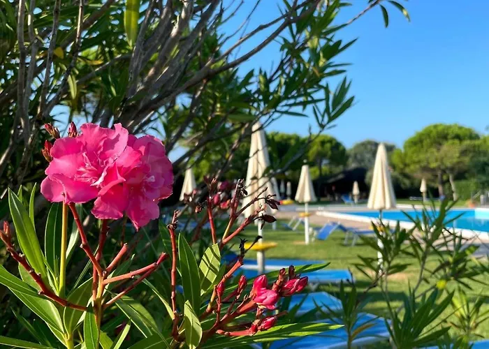 Calilla Home - Appartamento Maestrale