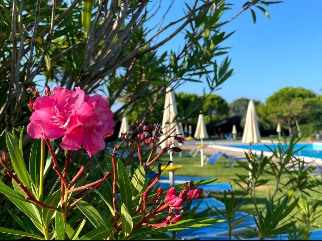 Calilla - Maestrale Apartment Grado
